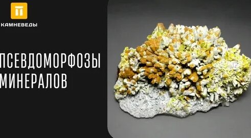 Дмитрий Романов Дзен
