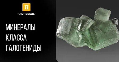 Дмитрий Романов Дзен