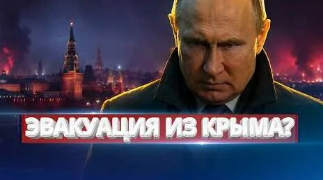 Дмитрий Танкович YouTube