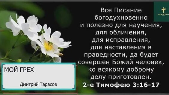 Дмитрий Тарасов Rutube
