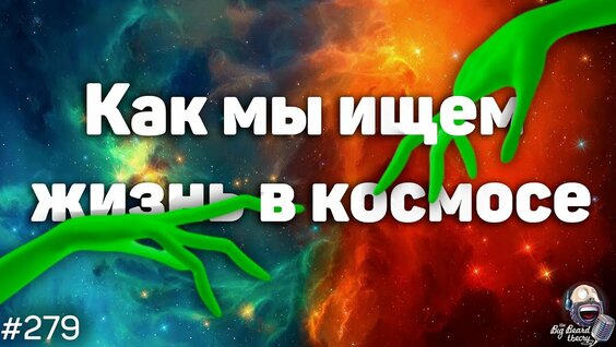 Дмитрий Вибе Rutube
