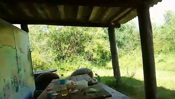 Дмитрий Журавлев VK Видео