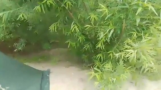 Дмитрий Журавлев VK Видео
