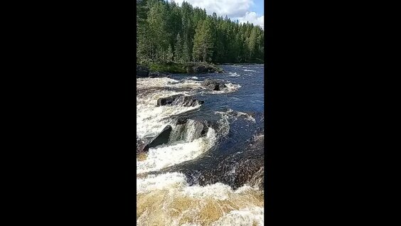 Дмитрий Журавлев VK Видео