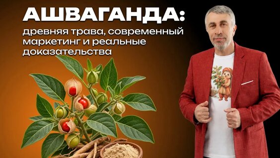 Доктор Комаровский VK Видео