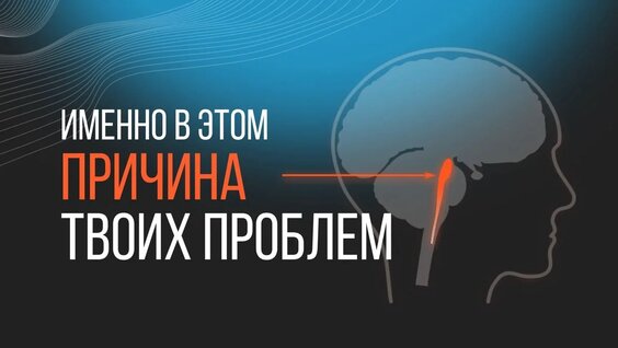 Доктор Курпатов VK Видео