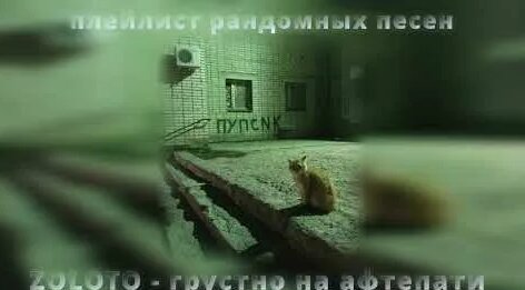 Джизус YouTube