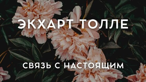 Экхарт Толле Rutube