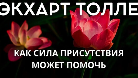 Экхарт Толле VK Видео