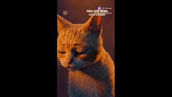 Эльдар Джарахов VK Видео