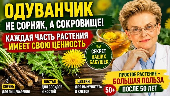 Елена Малышева YouTube