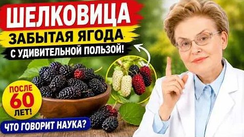 Елена Малышева YouTube