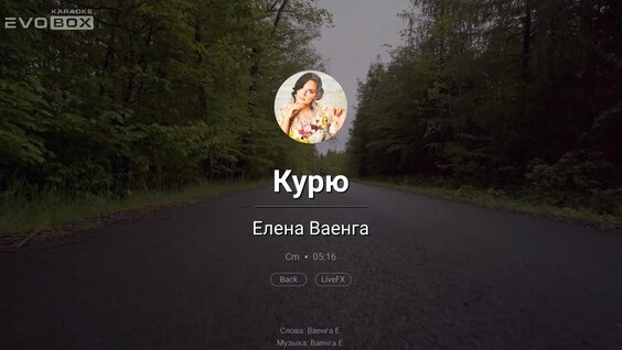 Елена Ваенга VK Видео
