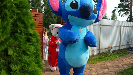 Эльман VK Видео