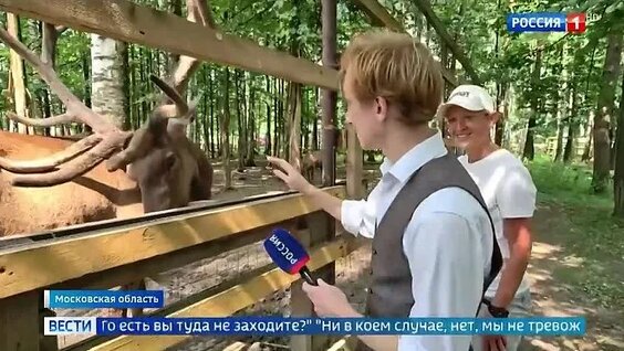 Эрнест Мацкявичюс ОК