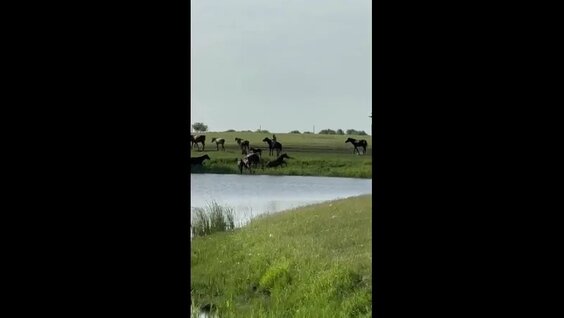 Евгений Баженов VK Видео