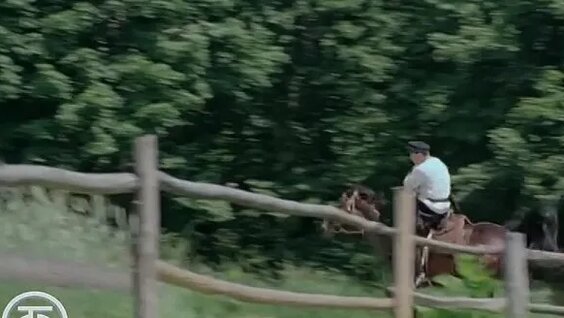 Евгений Пашин VK Видео
