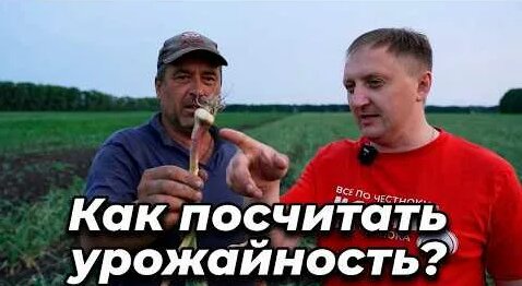 Евгения Медведева YouTube