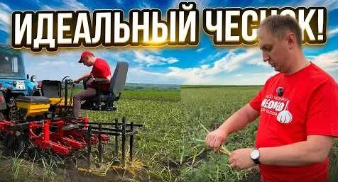 Евгения Медведева YouTube