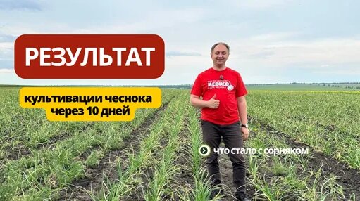 Евгения Медведева Дзен