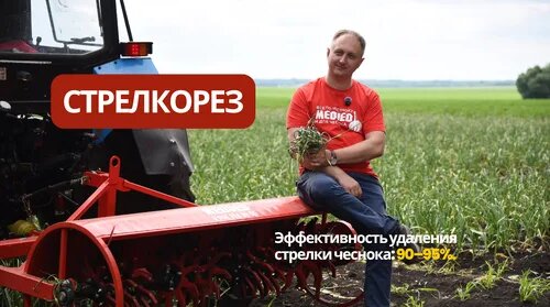 Евгения Медведева Дзен