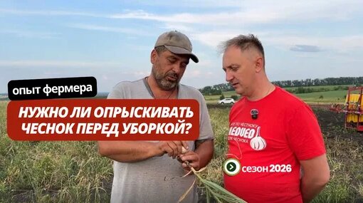 Евгения Медведева Дзен