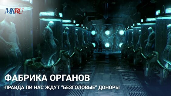 Фабрика VK Видео
