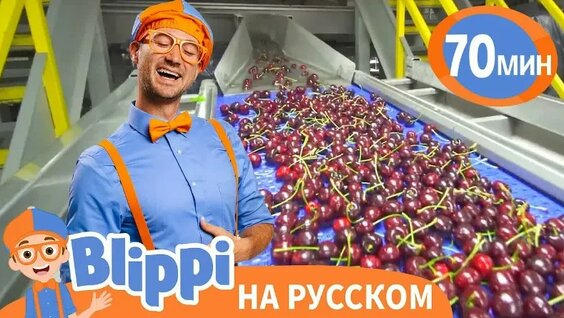 Фабрика VK Видео