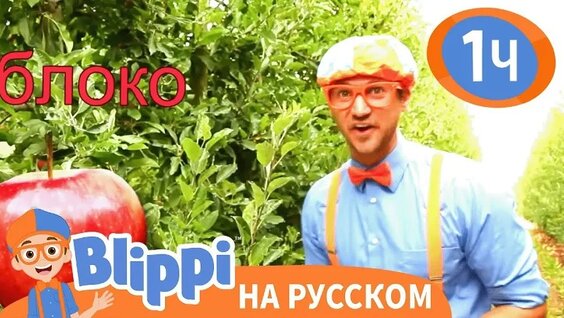 Фабрика VK Видео