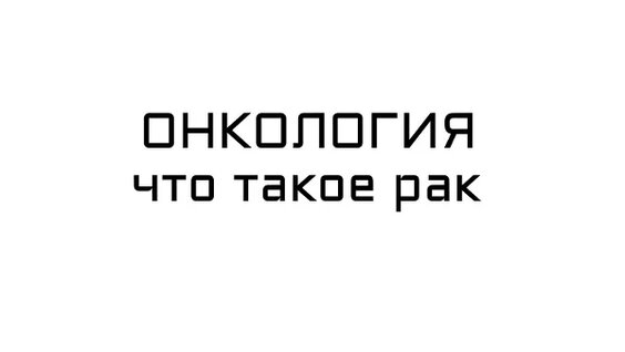 Фогель VK Видео