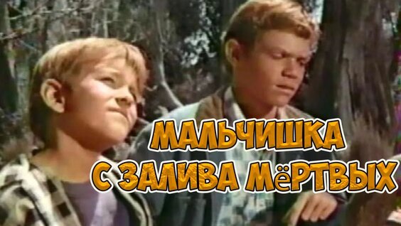 Фогель VK Видео
