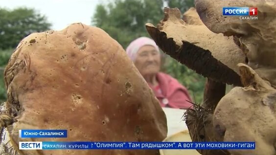 Гарик Харламов ОК