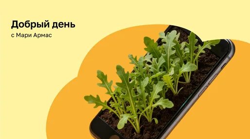 Георгий Черданцев Дзен