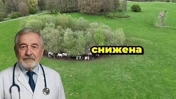 Глюкоза ОК