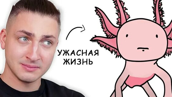 Градусы VK Видео