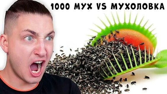 Градусы VK Видео