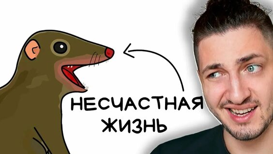 Градусы Rutube