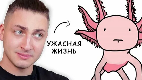 Градусы Rutube