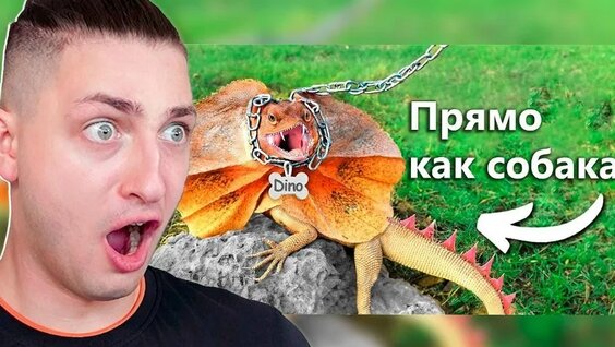 Градусы VK Видео