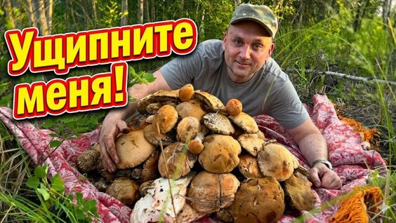 Грибы YouTube
