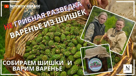 Грибы YouTube