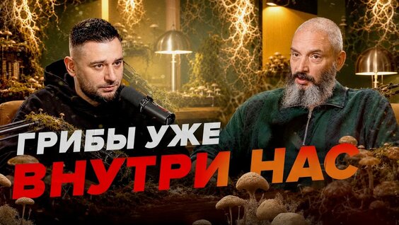 Грибы YouTube
