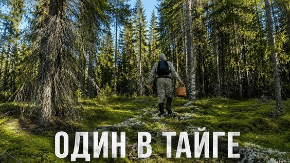 Грибы YouTube