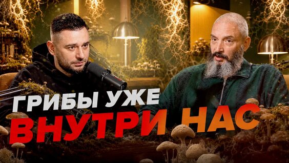Грибы Rutube