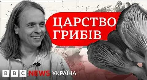 Грибы YouTube