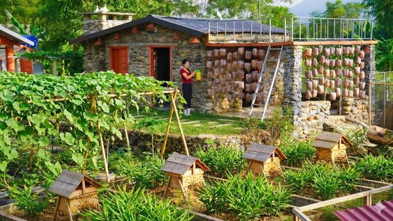 Грибы Rutube