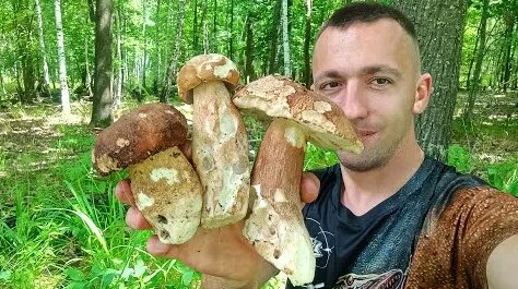 Грибы YouTube