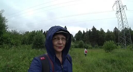 Грибы Дзен
