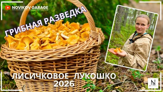 Грибы неделю назад