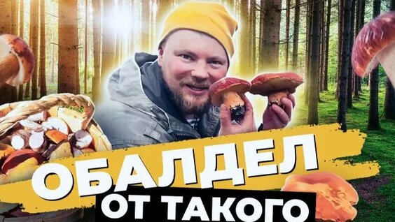 Грибы Rutube